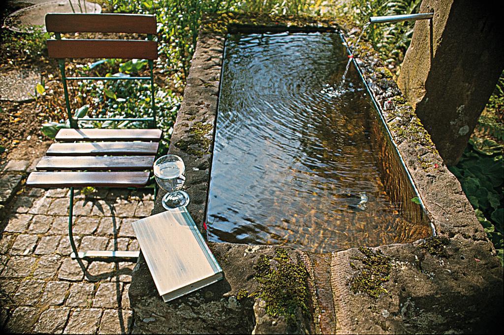 Kloesterle Hof Bad Rippoldsau-Schapbach Exteriör bild