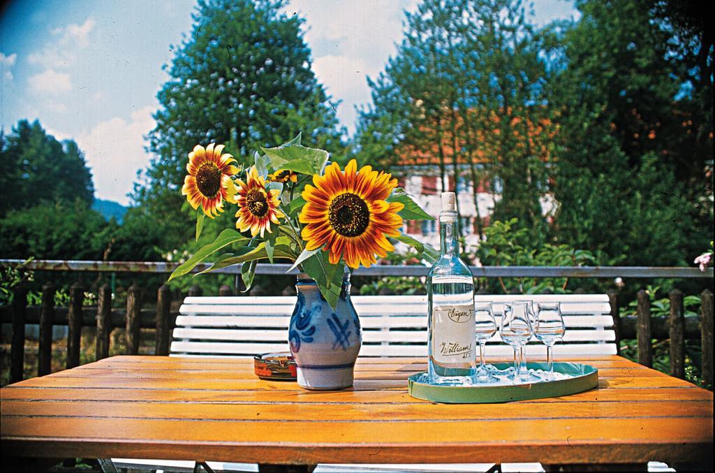 Kloesterle Hof Bad Rippoldsau-Schapbach Exteriör bild
